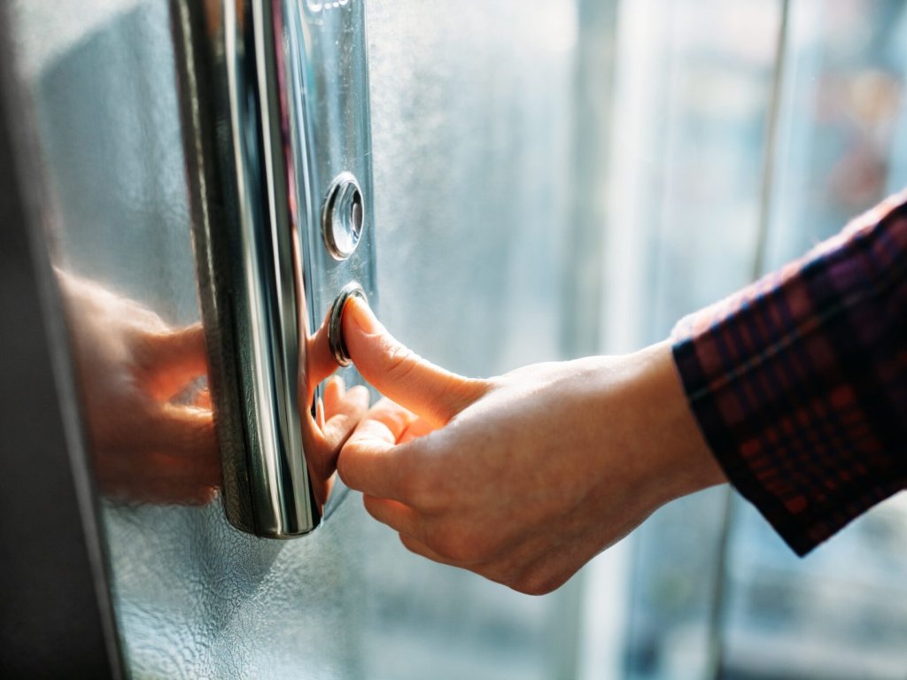 ¿Está permitido que los perros suban al ascensor? (II)