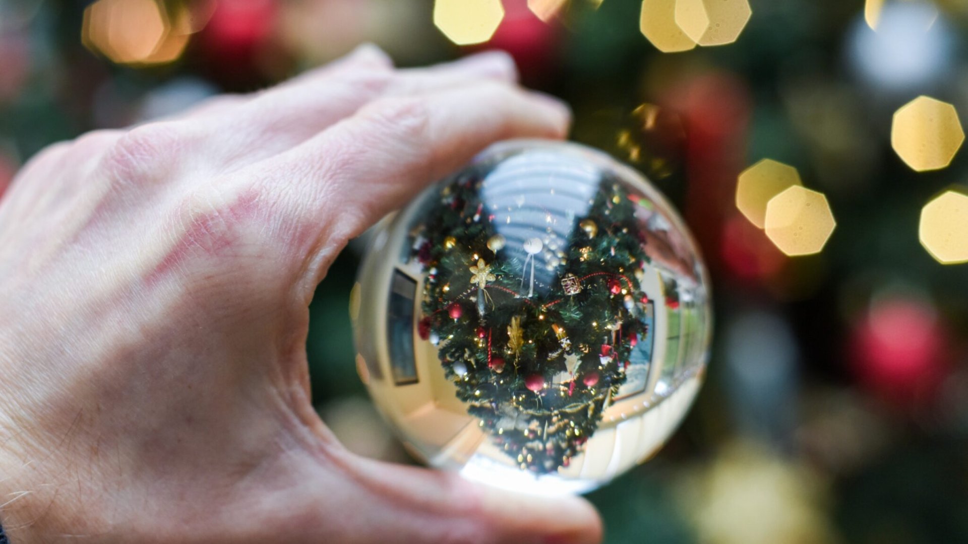 ¡Feliz Navidad y un Próspero Año Nuevo 2025!